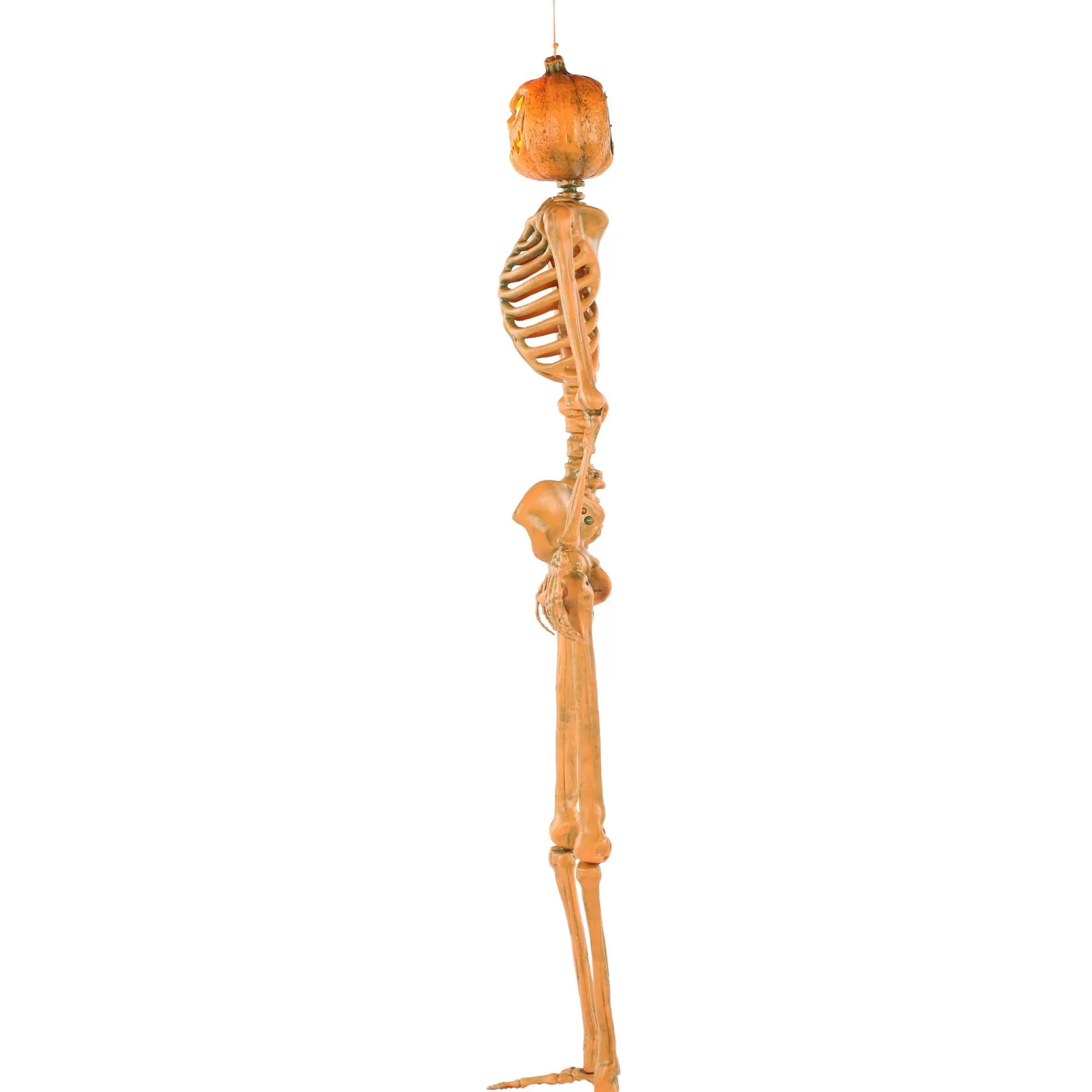Party City Skeletons | Light-Up Midnight Pumpkin Led Plastic Skeleton, 5Ft