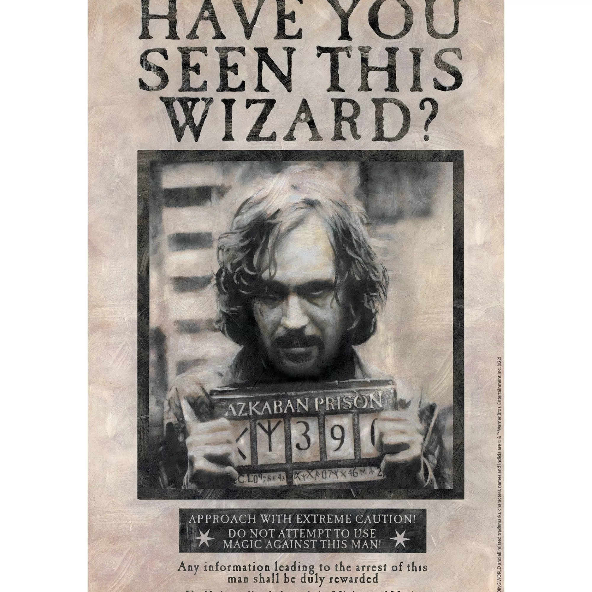 Party City Harry Potter Hogwarts | Sirius Black Lenticular Plastic Cutout, 12In X 18In - Harry Potter