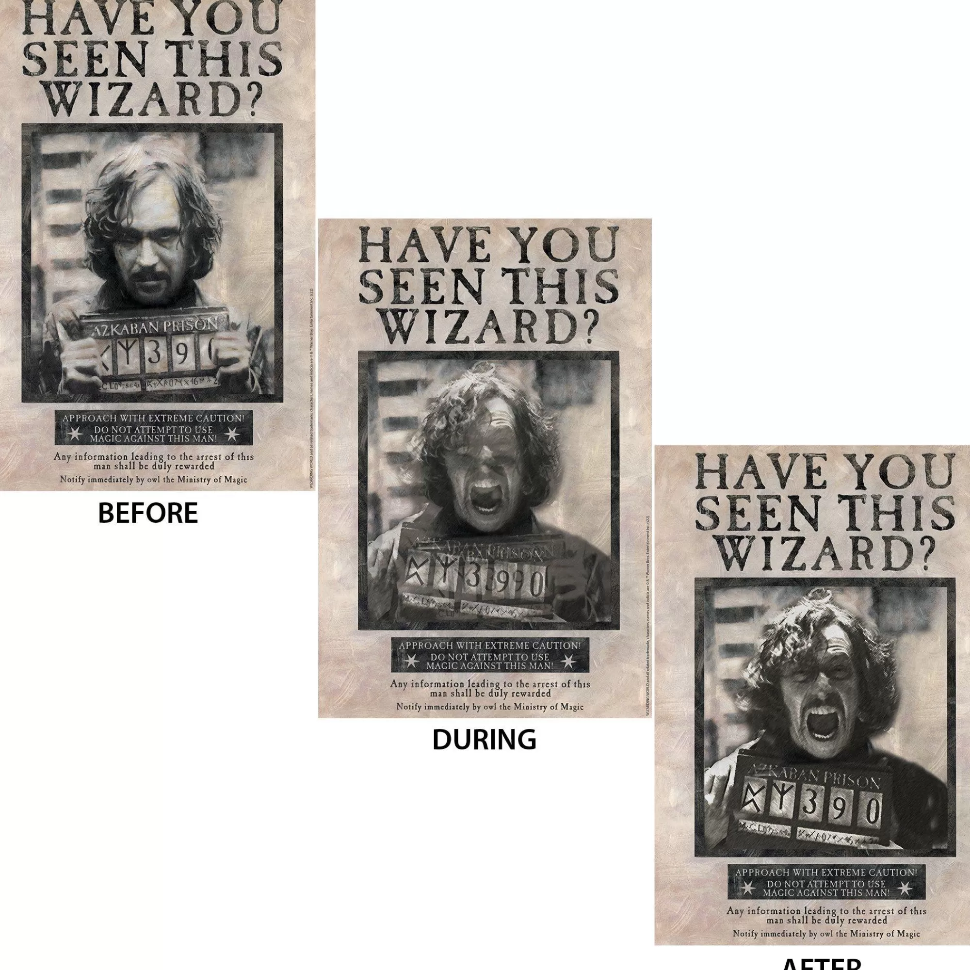 Party City Harry Potter Hogwarts | Sirius Black Lenticular Plastic Cutout, 12In X 18In - Harry Potter